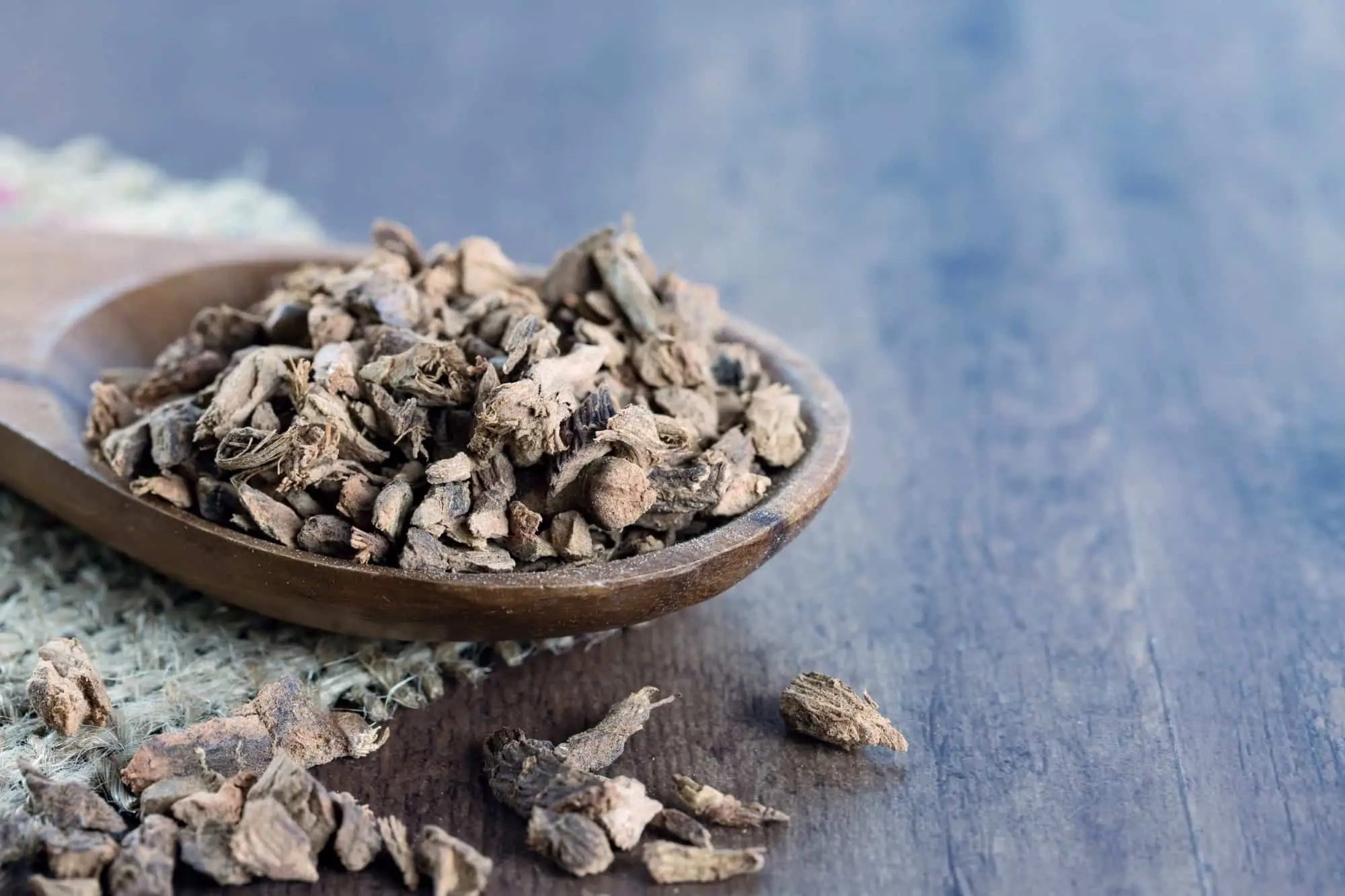 Galangal Seco vs. Fresco: Spiceography Showdown