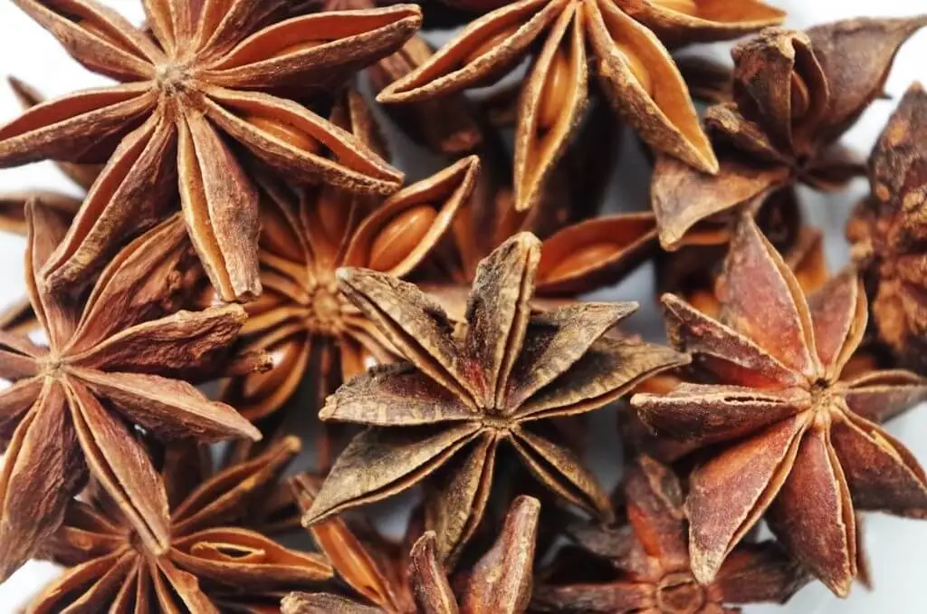 Star Anise Substitute