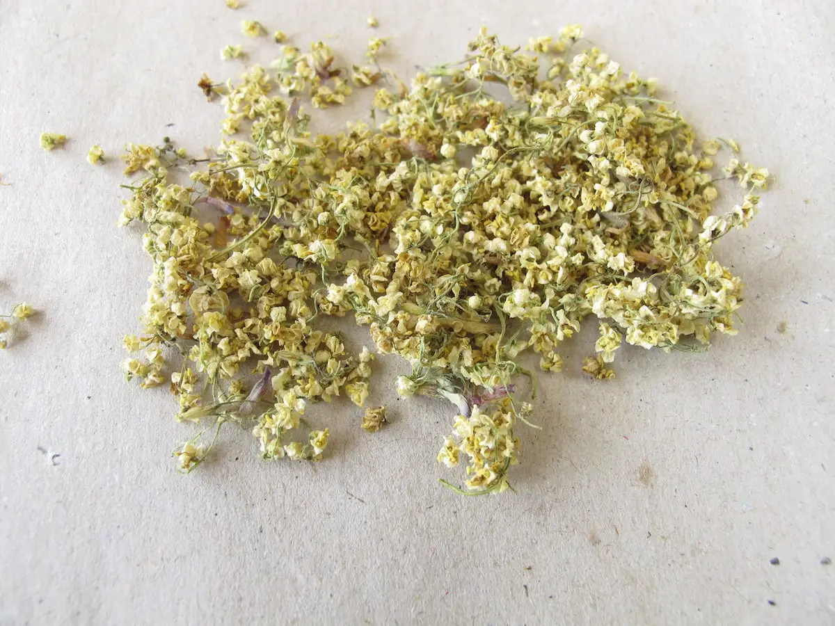 O que é um bom substituto de idosos?