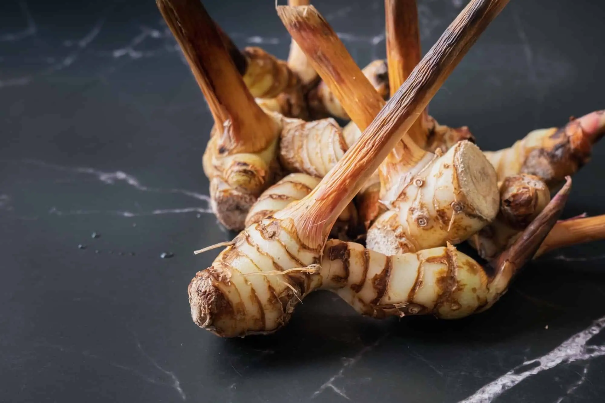 Você pode congelar galangal?