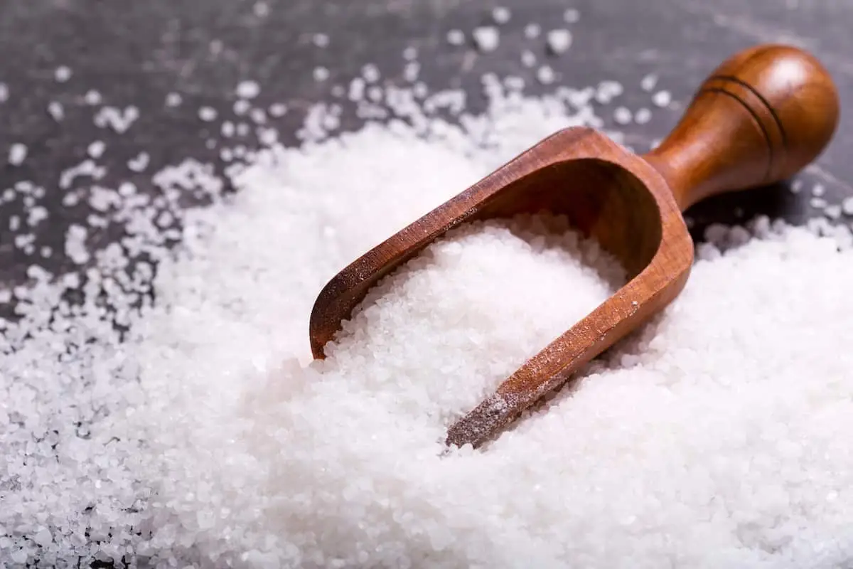 Salt Rock vs. Sal marinho: confronto de especiargrafia