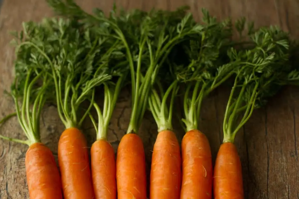 Carrot Greens