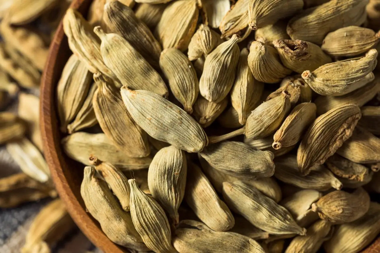 Cardamomo: história, sabor, benefícios, usos