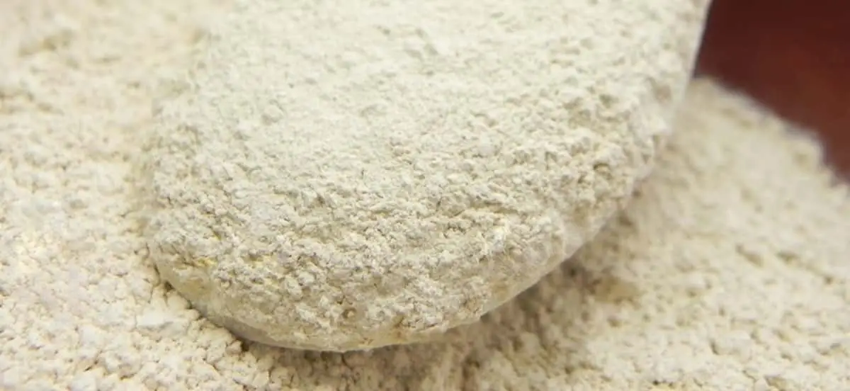 Pó de rábano: um tempero da Europa Central