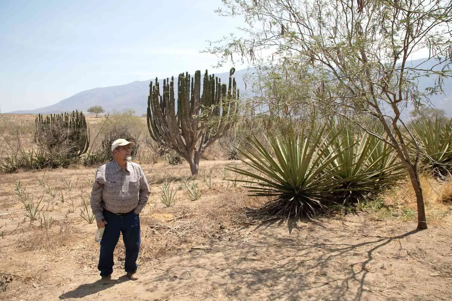 Gary Nabhan standing in a field holding a bottle of mezcal, surrounded by wild agave plants and other foliage
