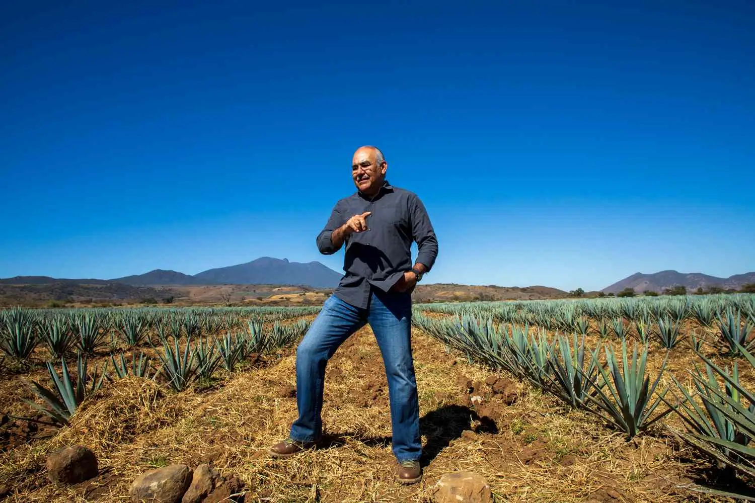 David Suro-Piñera standing between rows of growing, still small, immature agave plants