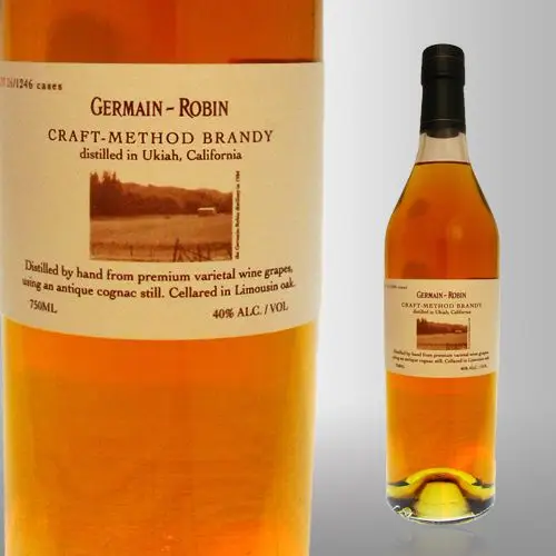 Brandy Germain-Robin