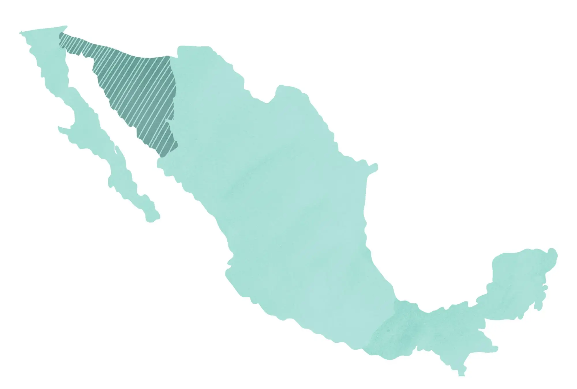 O que é Bacanora? Um guia para o famoso espírito de agave de Sonora