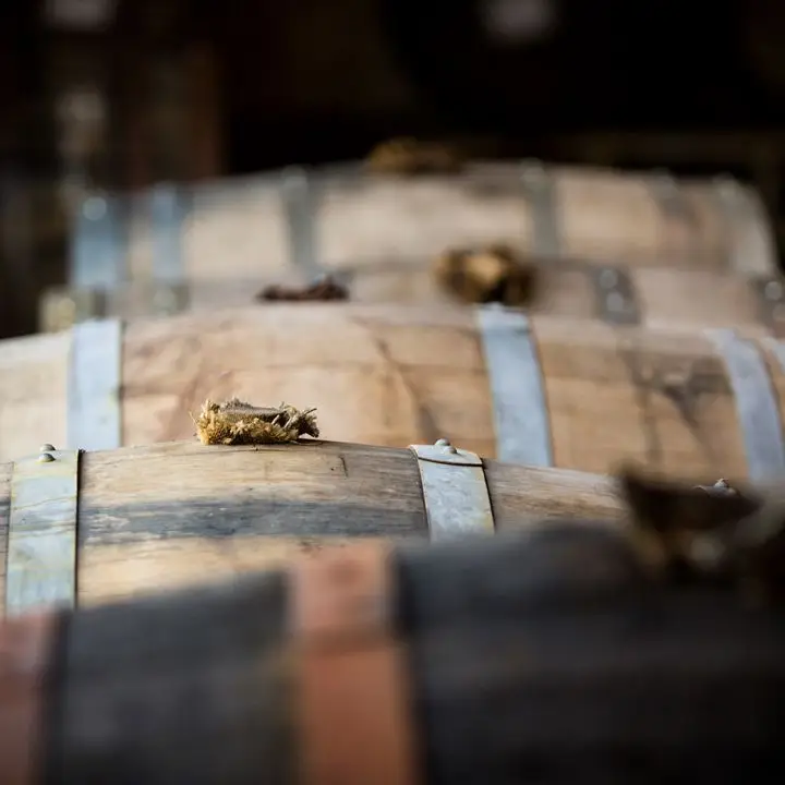 Do NDP para DIY: como as marcas artesanais fazem a transição para destilar seu próprio uísque