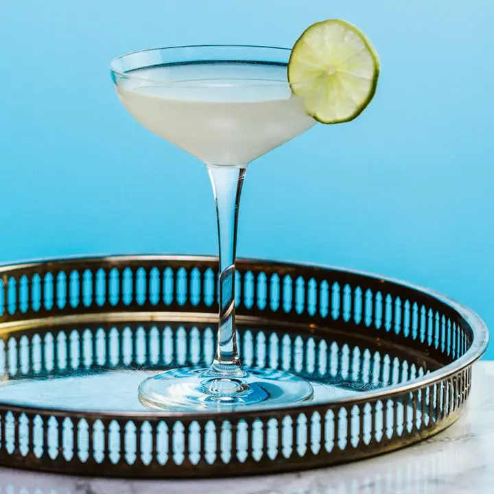 Gimlet cocktail