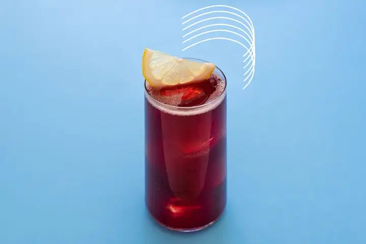 Kombucha Sangria