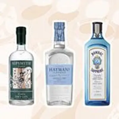 Best Gins