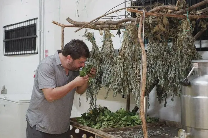 A man smelling drying herbs hanging from a wooden structure