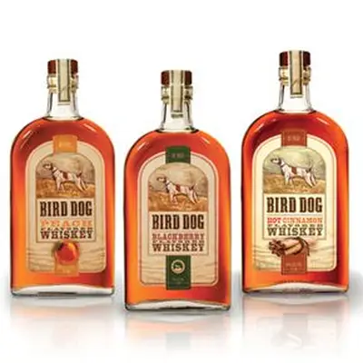 Cachorro de pássaro