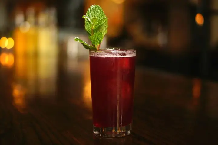 A deep, dark red cocktail in a collins glass is garnished with a sprig of mint. The cocktail sits on a dark, hardwood bar. 