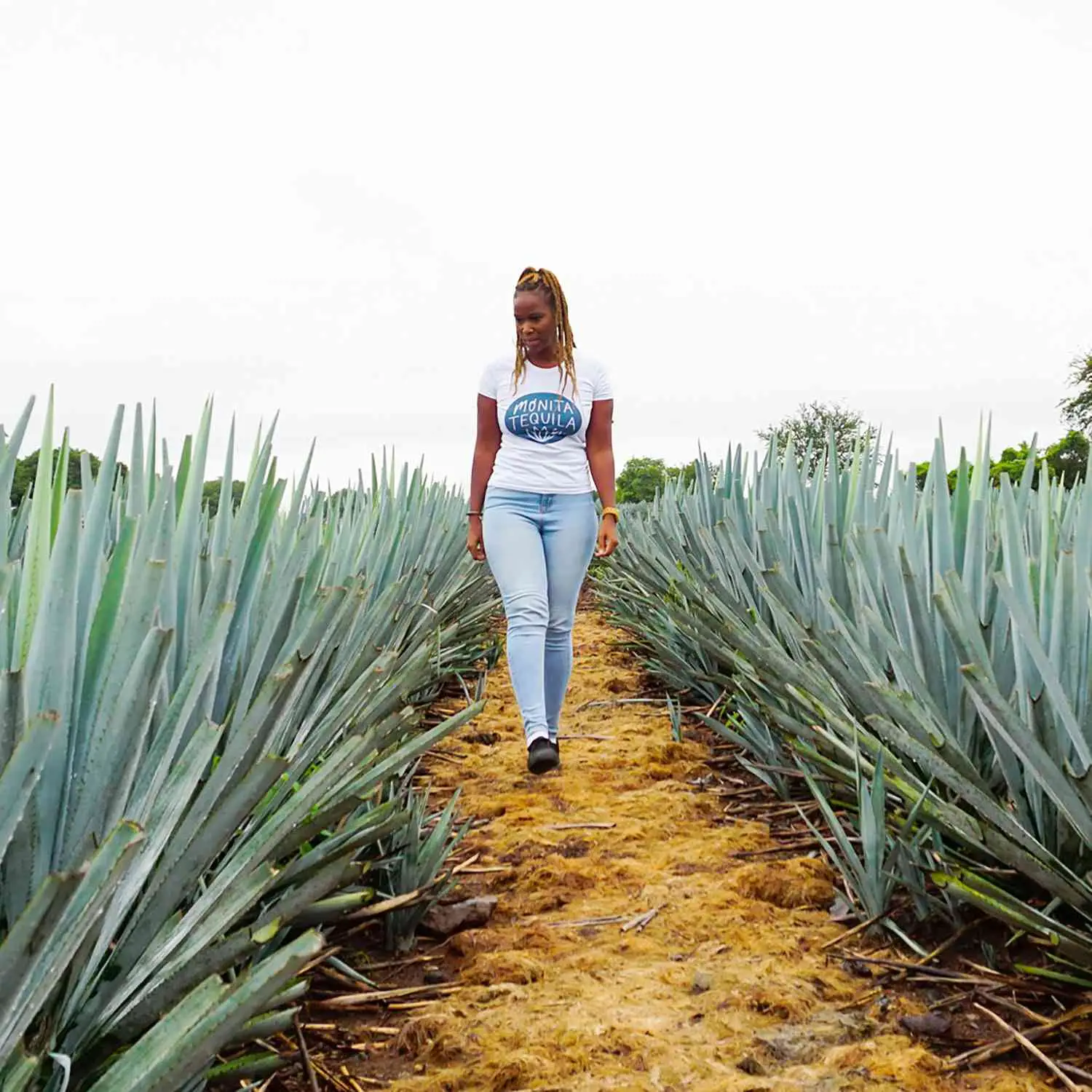 Marcas de espíritos de propriedade negra para apoiar