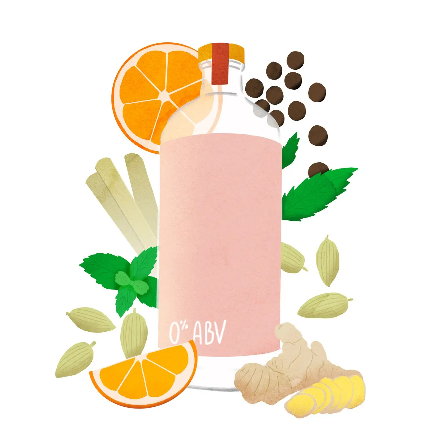 Illustration of bottle of non-alcoholic spirit, pink in color surrounded by various botanicals