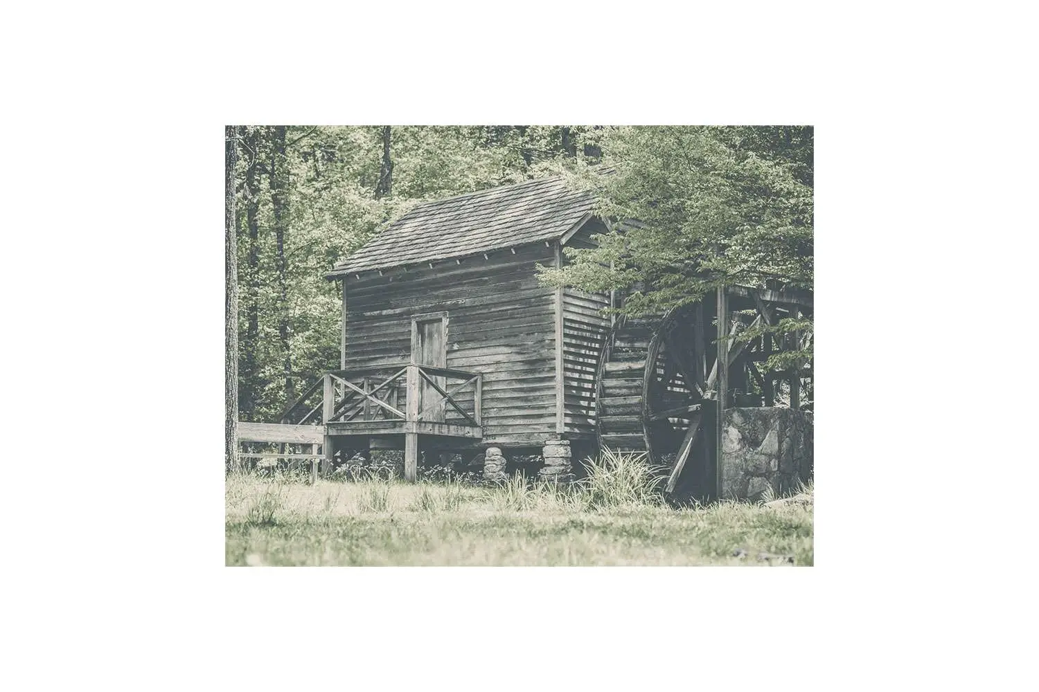 Reviews & Tasting Notes - Noah