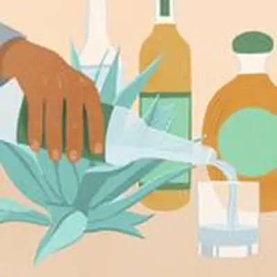 Illustration of agave plants, a hand pouring tequila into a glass, and various bottles of tequila and mezcal