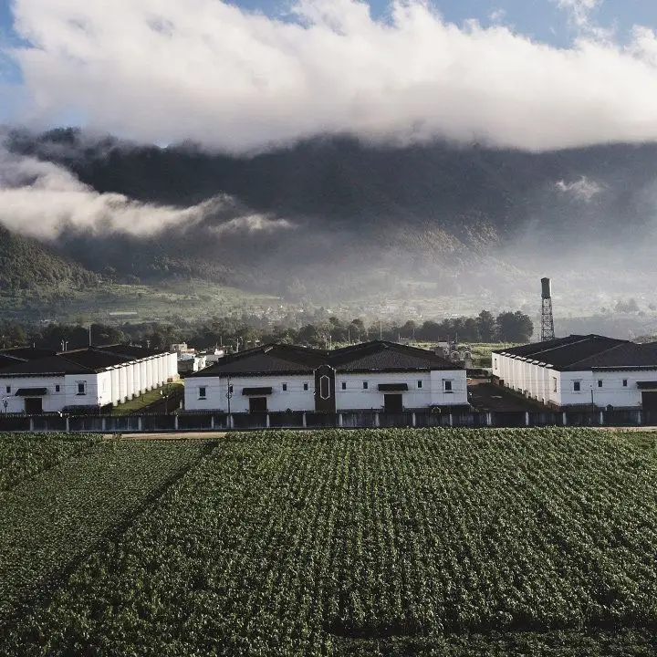 Tudo o que você precisa saber sobre rum de alta altitude