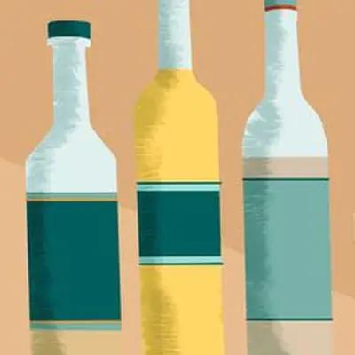Different types of mezcal bottles