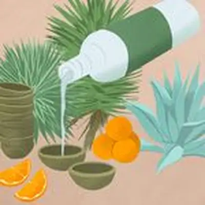 illustration of mezcal pouring into a copita in front of agave plants