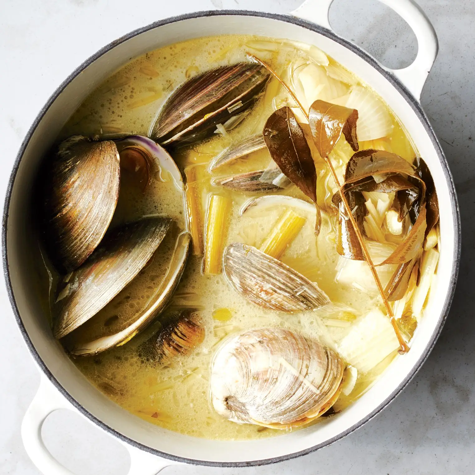 This image may contain Animal Invertebrate Sea Life Clam Seashell and Bowl