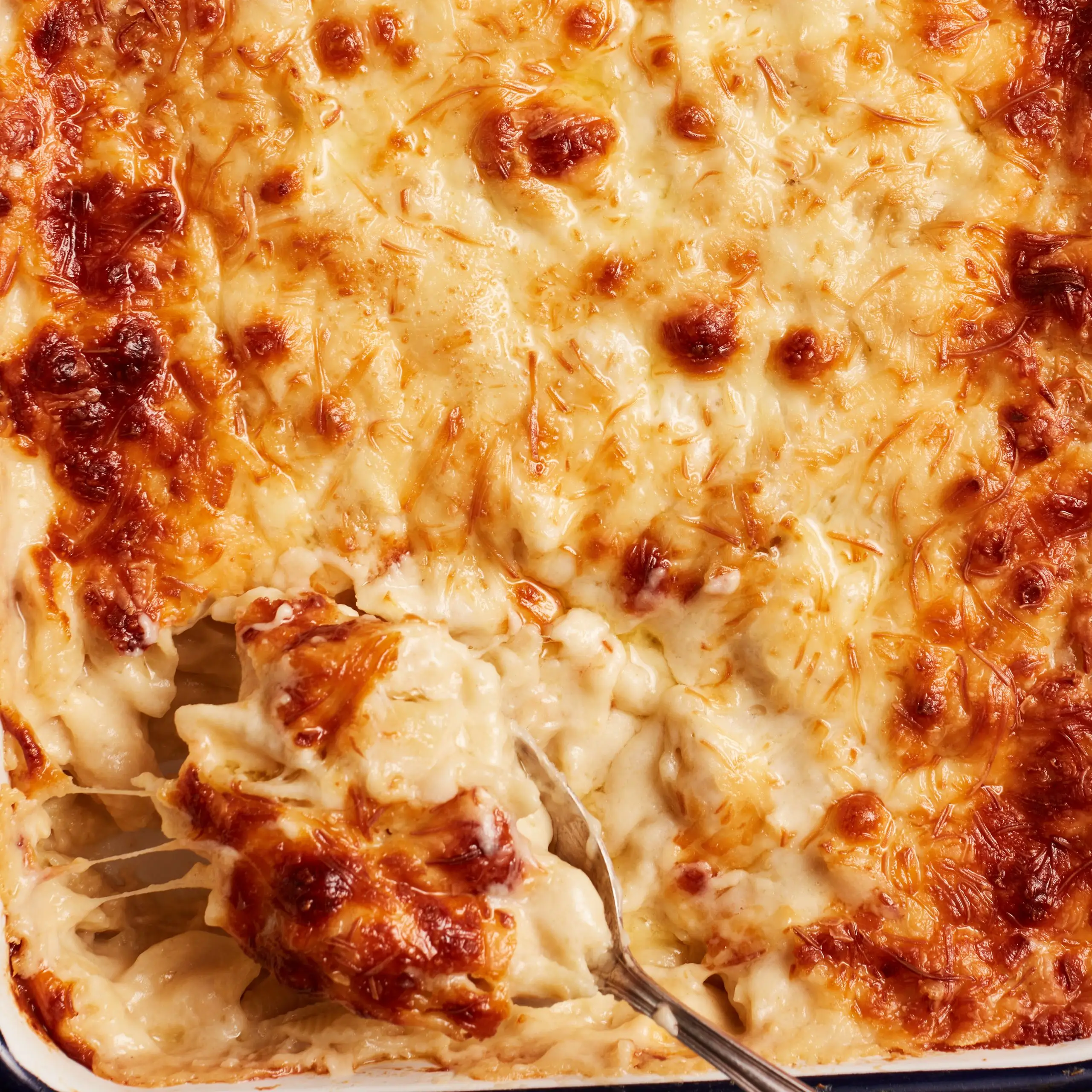 Ooey-Gooey Macaroni and Cheese
