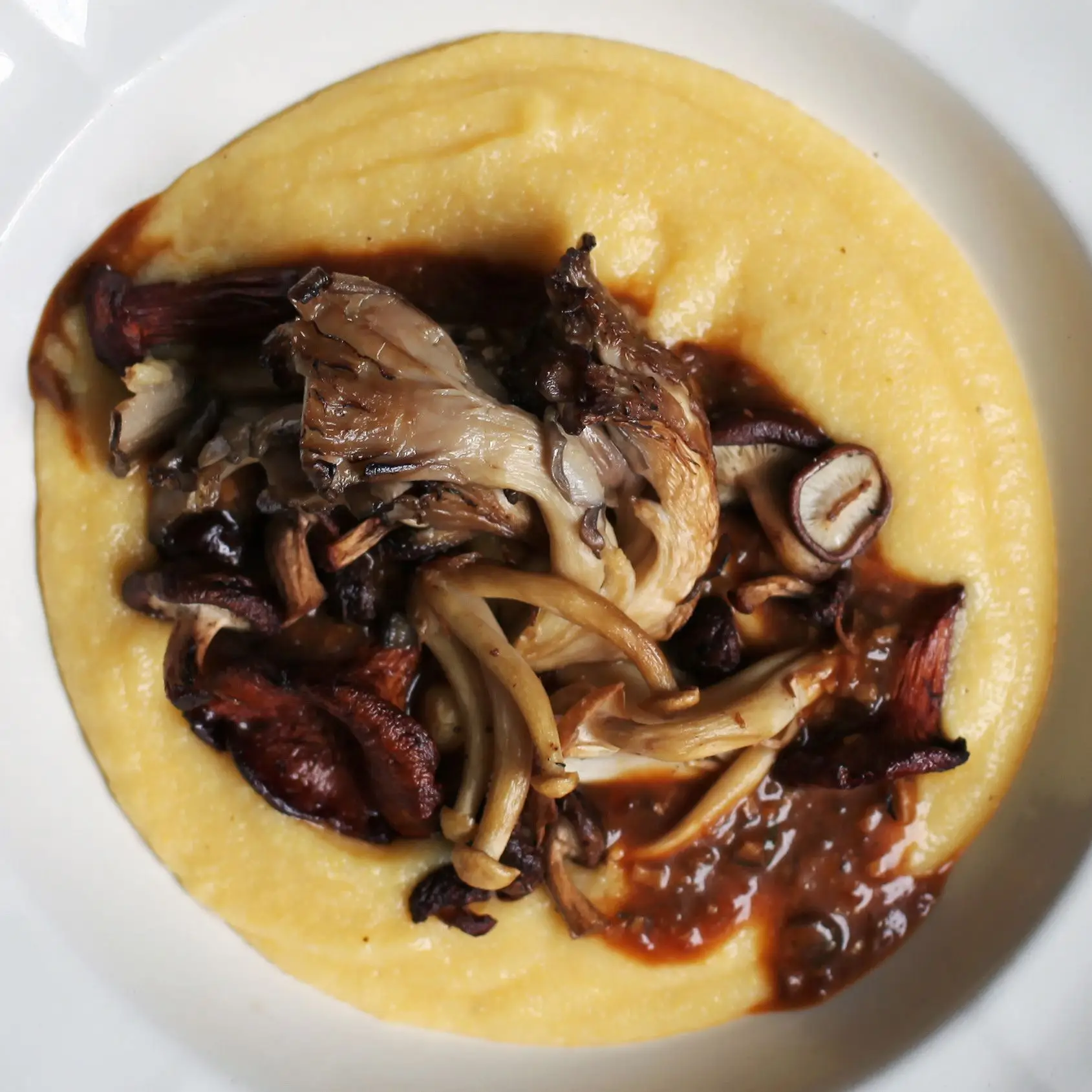 Polenta de cogumelo selvagem com molho de porcini